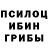 Галлюциногенные грибы Psilocybine cubensis Marelley