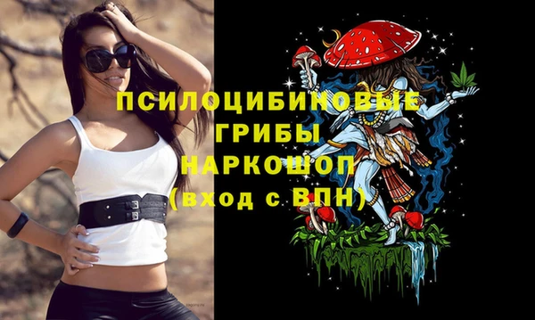 скорость Богданович