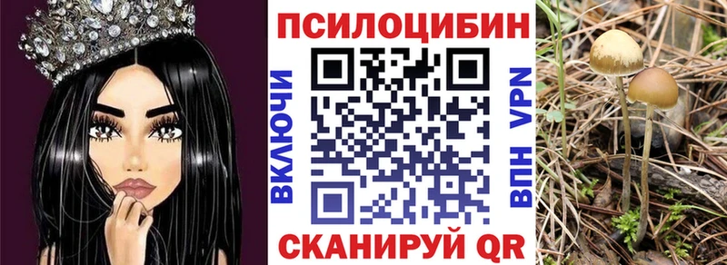 цена   Называевск  блэк спрут ССЫЛКА  Галлюциногенные грибы мицелий 